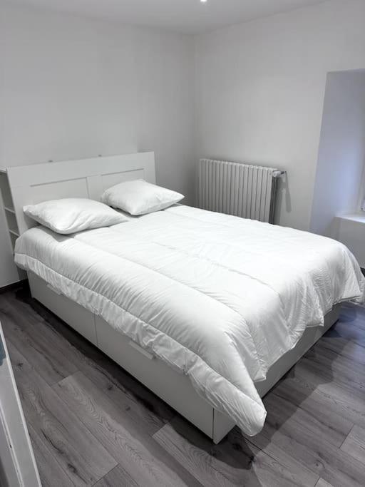 Appartement T4 En Hyper-Centre Bourgoin-Jallieu Eksteriør billede